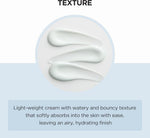 Anua Madagascar Centella Hyalu-Cica Moisture Cream